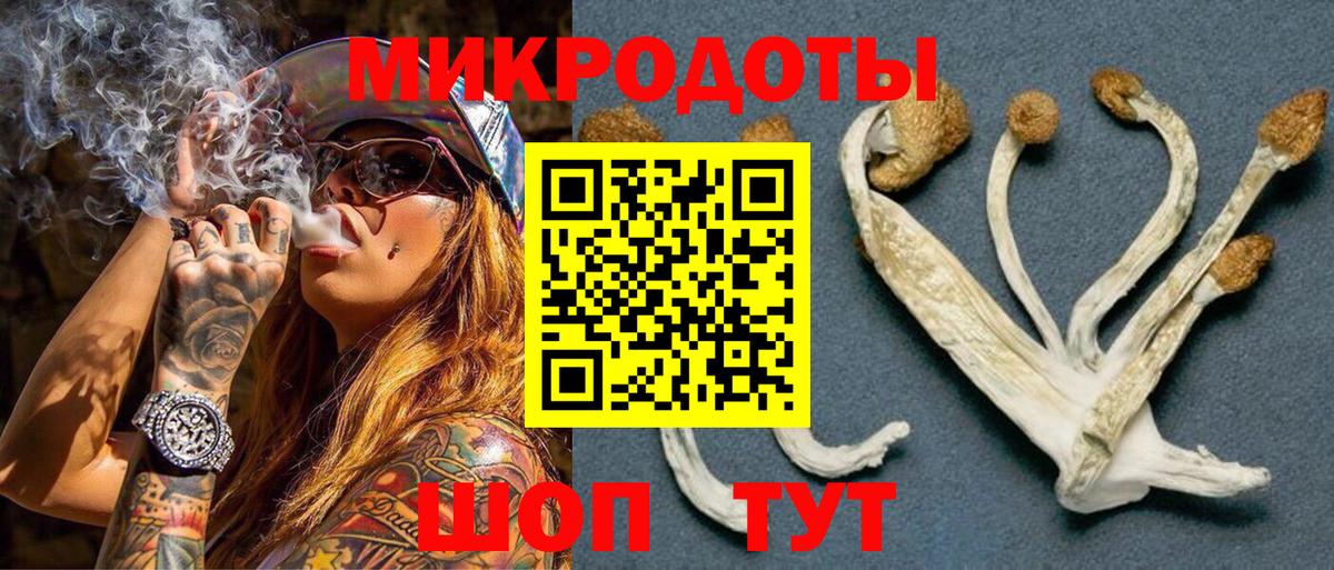 Псилоцибиновые грибы MAGIC MUSHROOMS Курганинск