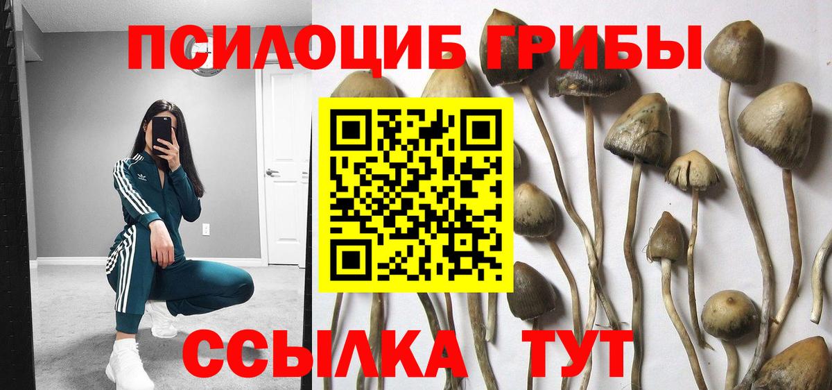 Курганинск  Галлюциногенные грибы MAGIC MUSHROOMS  Вход с VPN  Галлюциногенные грибы мухоморы 