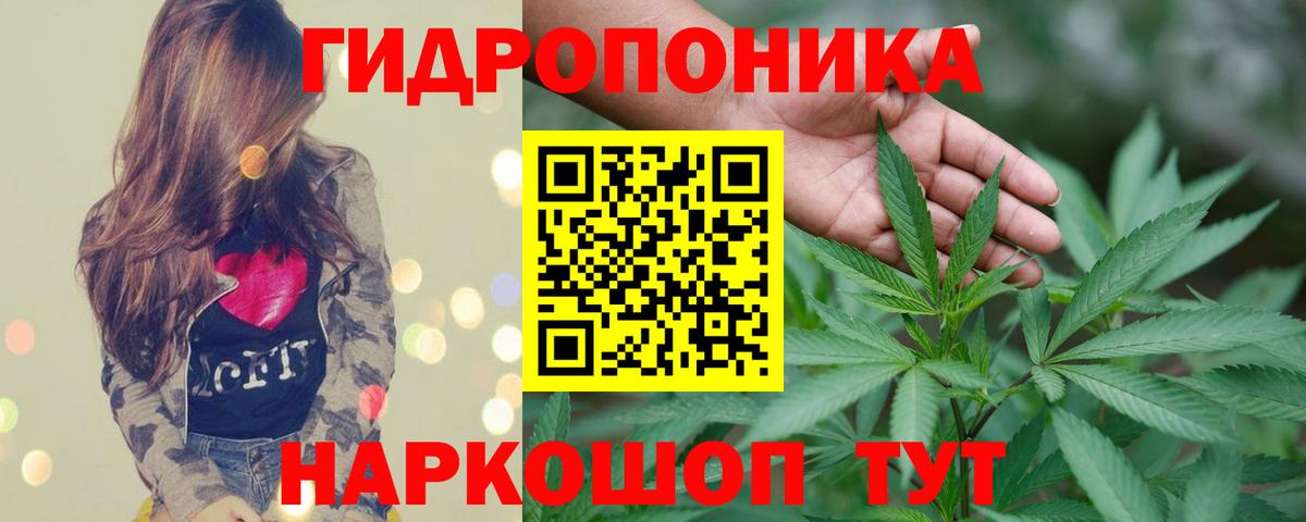 Курганинск  Бошки марихуана Bruce Banner  Бошки Шишки AK-47  Вход с VPN  Бошки Шишки ГИДРОПОН  Бошки Шишки VHQ 